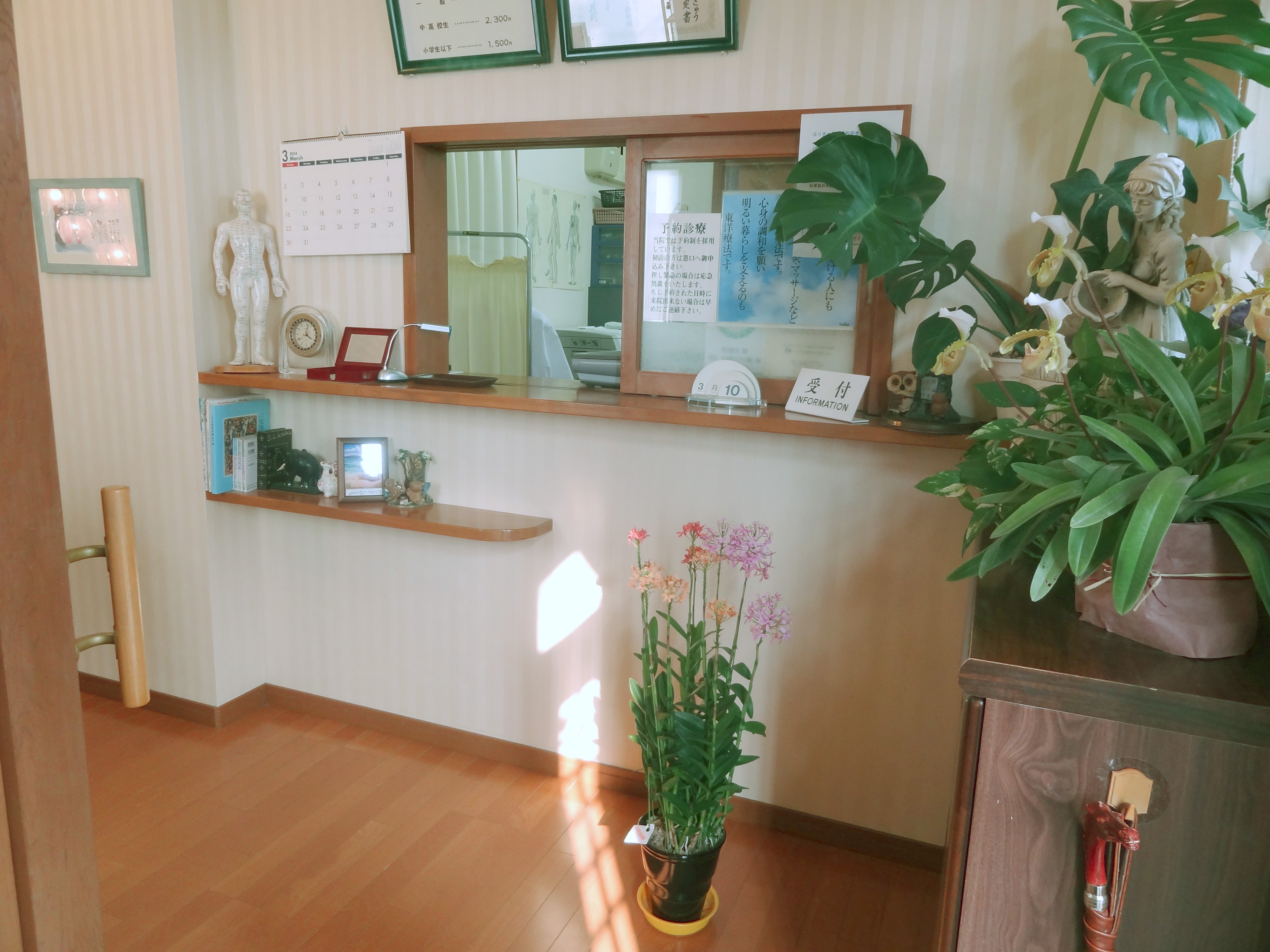 �������s���c�I���@�A�͂肫�イ�A�w���A�}�b�T�[�W�A�ᐸ��J